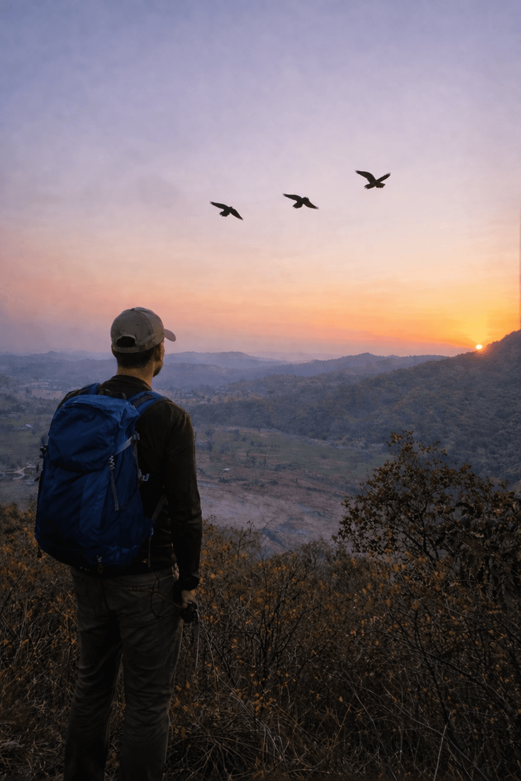 Avian Watch & Photography