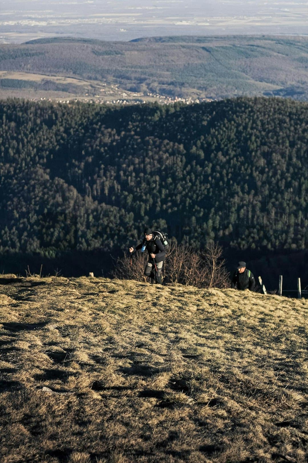 Forest Bathing & Mindful Trails